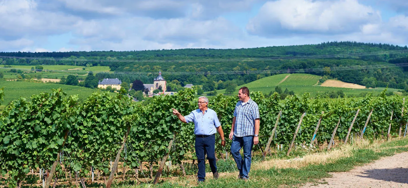 Weingut Mehrlein — das Weingutsgebäude inmitten der Rheingauer Weinberge